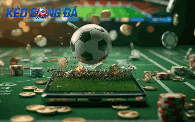 Những Lưu Ý Quan Trọng Để Tránh Bẫy